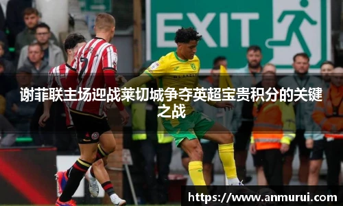 谢菲联主场迎战莱切城争夺英超宝贵积分的关键之战